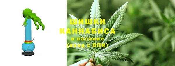 гашик Белоозёрский