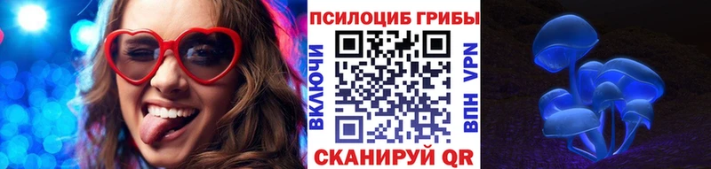 где можно купить наркотик  Великий Устюг  Галлюциногенные грибы GOLDEN TEACHER 