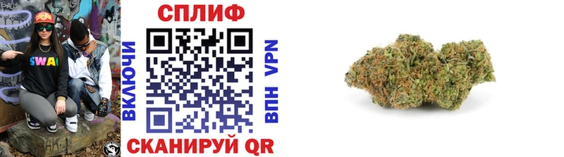 купить наркотик  мега онион  Бошки Шишки индика  Великий Устюг 
